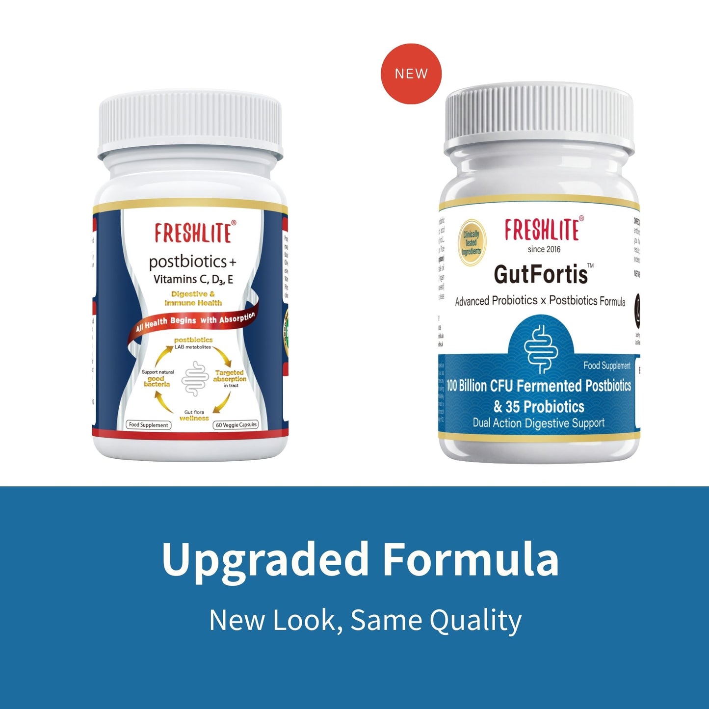 GutFortis™ | Support your Gut Health Everyday