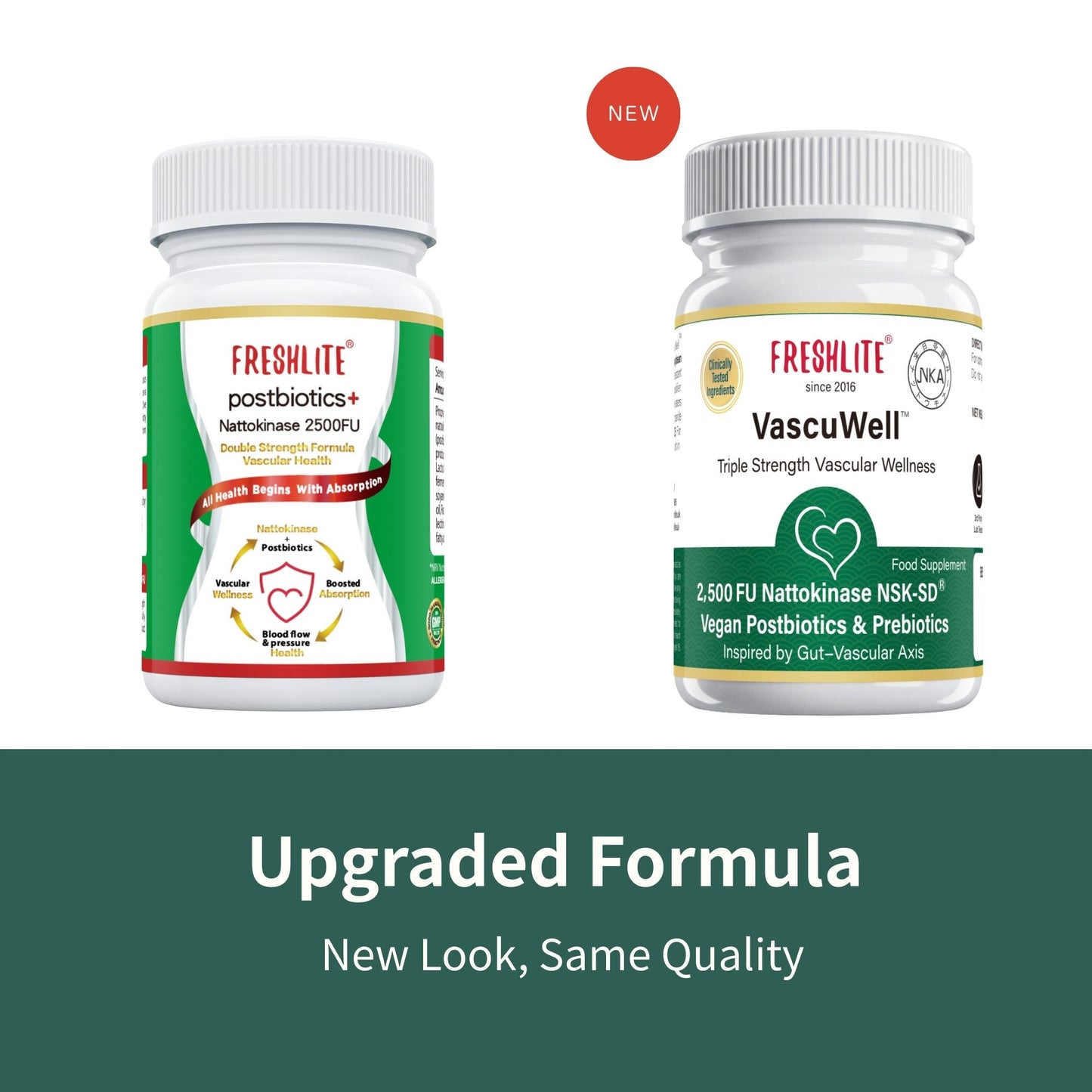 VascuWell™ | For your Daily Cardiovascular Wellness